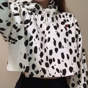 Cropped Champion Hoodie